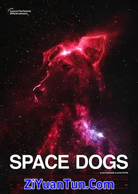 太空狗封面图