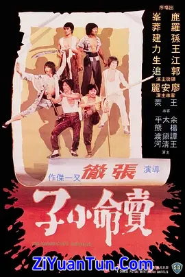 卖命小子封面图