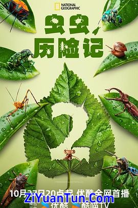虫虫历险记 第二季封面图