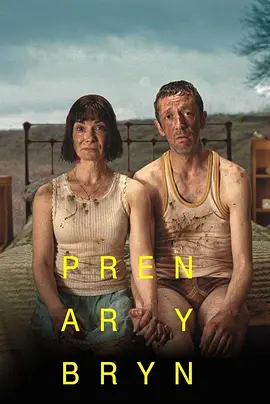 Pren ar y Bryn封面图