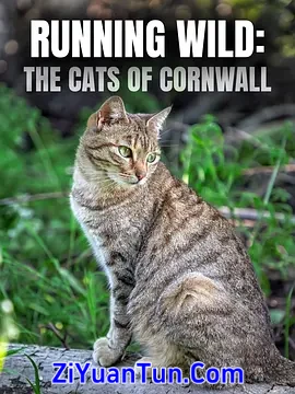 Running Wild: The Cats of Cornwall封面图