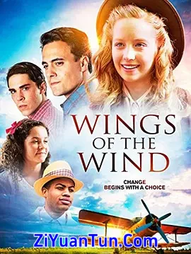 Wings of the Wind封面图