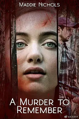 A Murder to Remember封面图