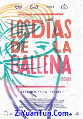 Los días de la ballena封面图