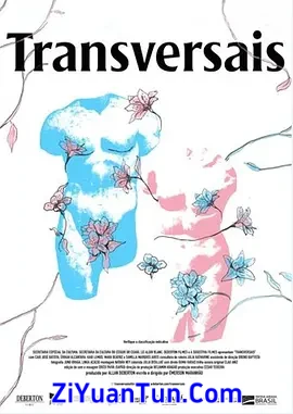 Transversais封面图