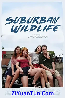 Suburban Wildlife封面图