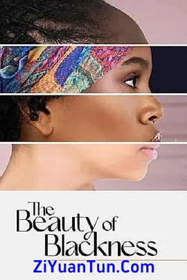 The Beauty of Blackness封面图