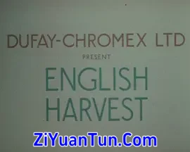 English Harvest封面图