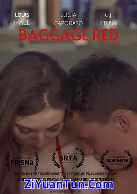 Baggage Red封面图