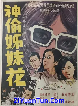 神偷姊妹花封面图