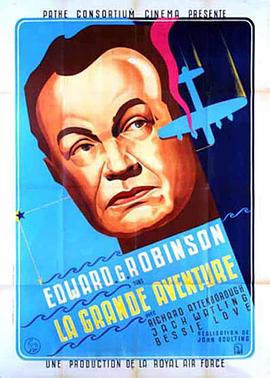 空中怪杰封面图