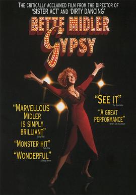 星梦不了情封面图