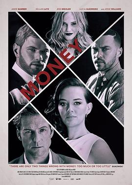 金钱疑案封面图