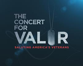 The Concert for Valor封面图