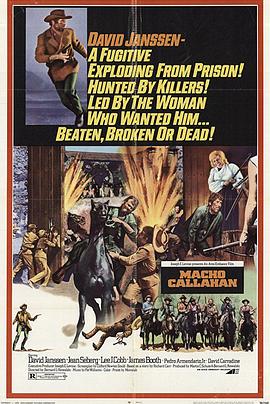 游龙火凤霹雳枪封面图