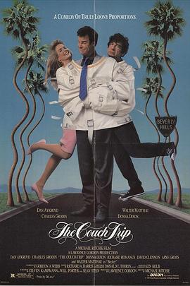 假作真时真亦假封面图