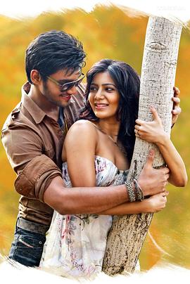 最佳女婿封面图