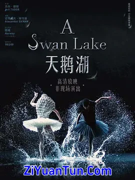 天鹅湖封面图