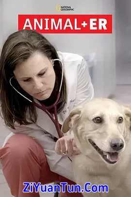 动物急症室 第二季封面图