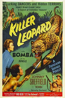 Killer Leopard封面图