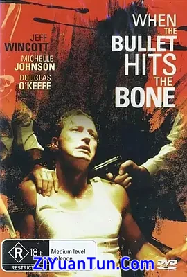 When the Bullet Hits the Bone封面图