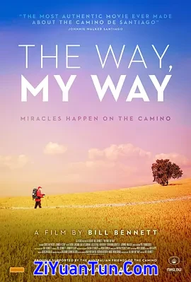 The Way, My Way封面图