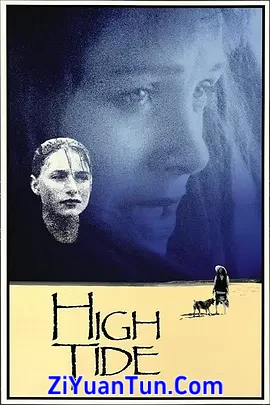 爱恋风尘封面图