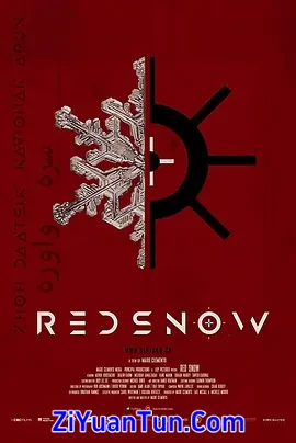 血染白雪封面图
