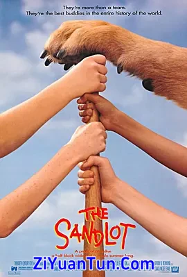 沙地传奇封面图