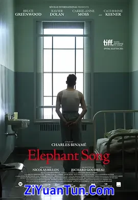 大象之歌封面图