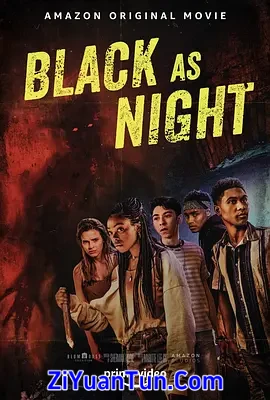 暗黑之夜封面图