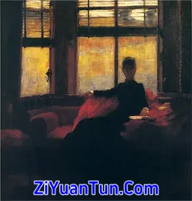 以遇刺为生的女人封面图