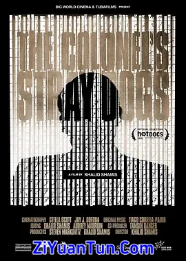 上校的流浪狗封面图