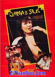 丝绸之路封面图