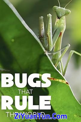 虫临天下 第一季封面图