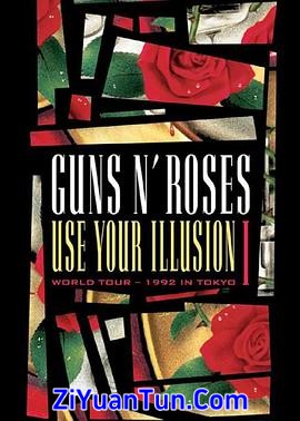 Guns N' Roses: Use Your Illusion封面图