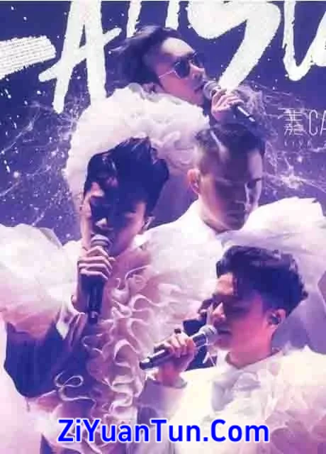 生于C AllStar演唱会 2017封面图