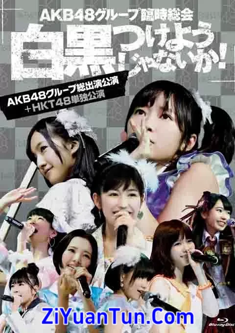 AKB48 SKE48 NMB48 HKT48 演唱会封面图