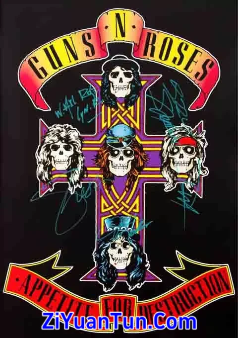 枪炮玫瑰：毁灭的欲望封面图