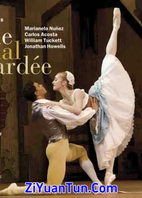 芭蕾喜剧：关不住的女儿封面图