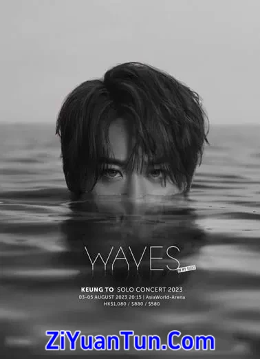 姜涛：WAVES in my sight封面图
