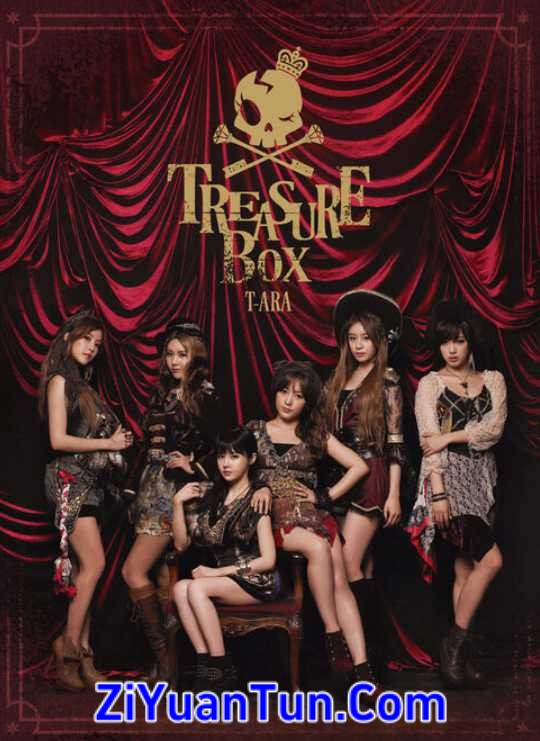 T-ARA：日本武道馆 演唱会封面图