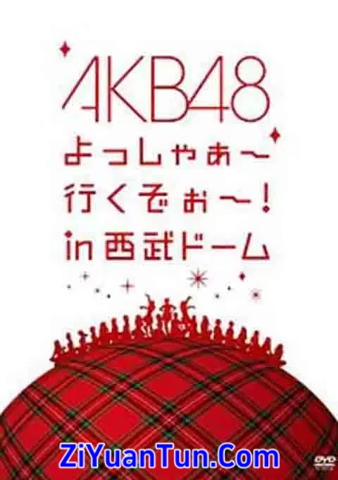 AKB48 西武巨蛋演唱会封面图
