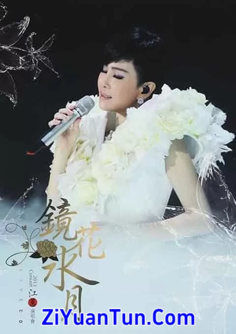 江蕙 镜花水月演唱会封面图