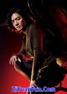 郑伊健：Beautiful Day 演唱会封面图