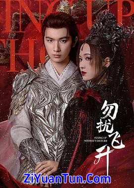 勿扰飞升封面图