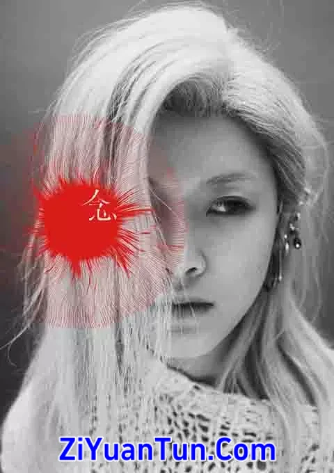 陈蕾：《念》演唱会封面图