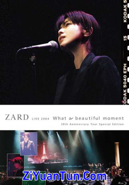 ZARD：What a beautiful moment Tour封面图