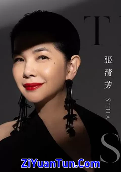张清芳 Stella TimeLESS 演唱会封面图