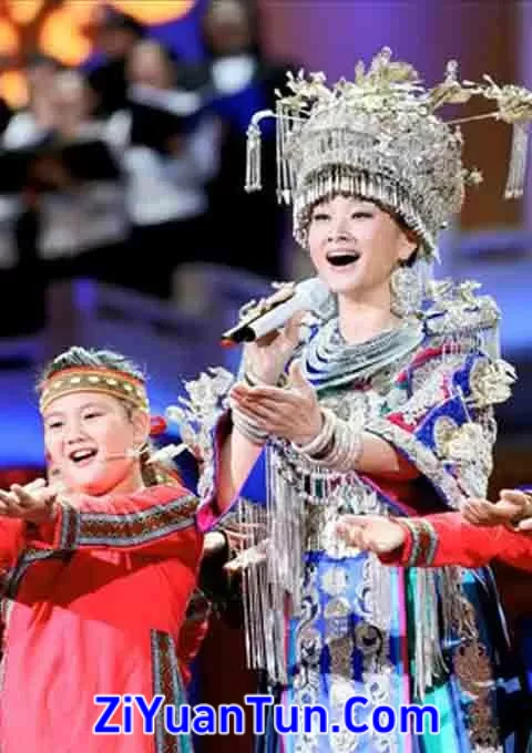 宋祖英 台北小巨蛋音乐会封面图